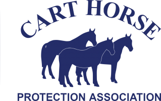 Equine Welfare Training by Cart Horse Protection Association